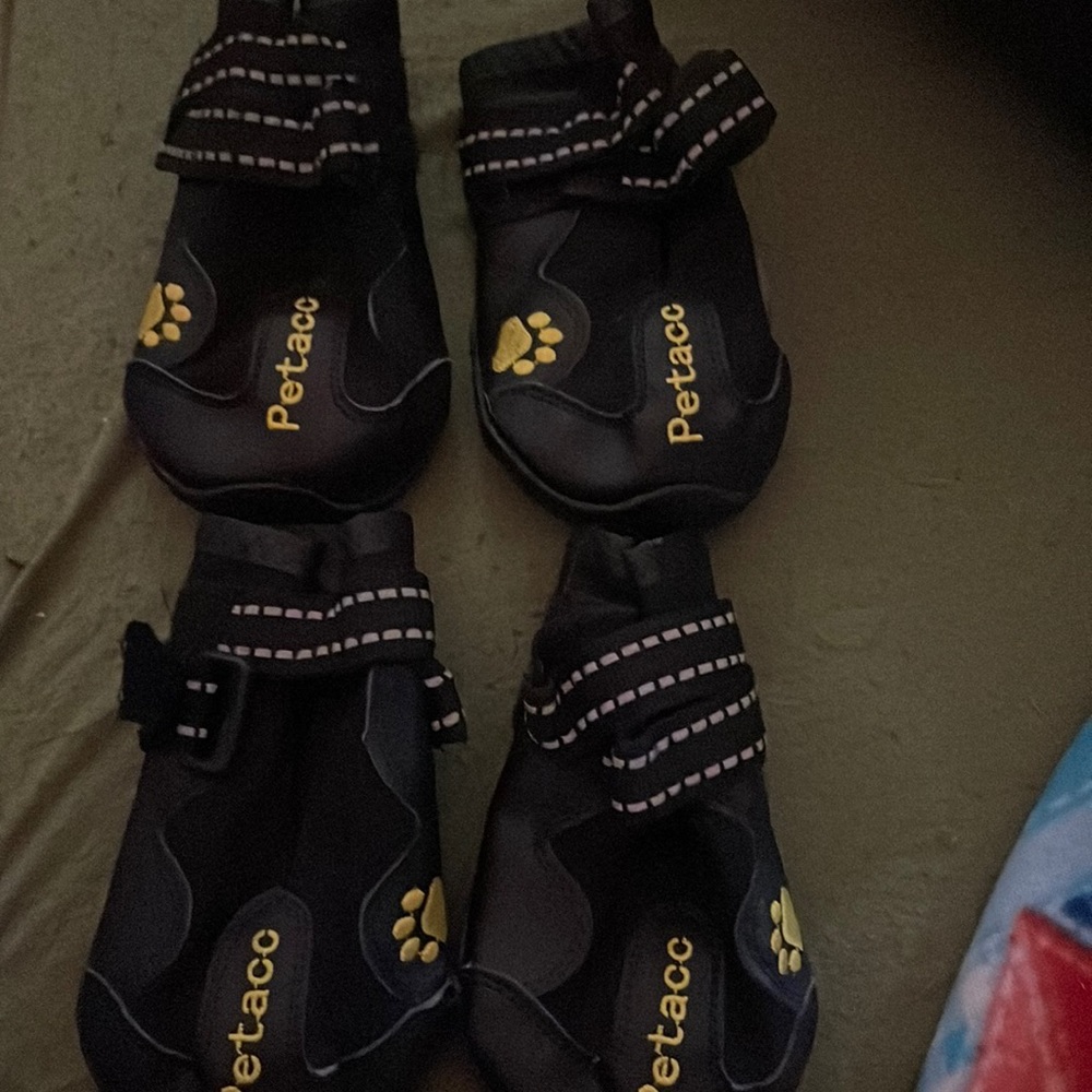 4 paw set of Petaco Dog Shoes. Never used
